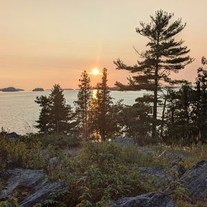 Meet your Posher, Marie